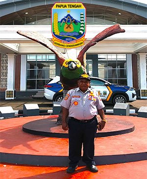 Sambutan